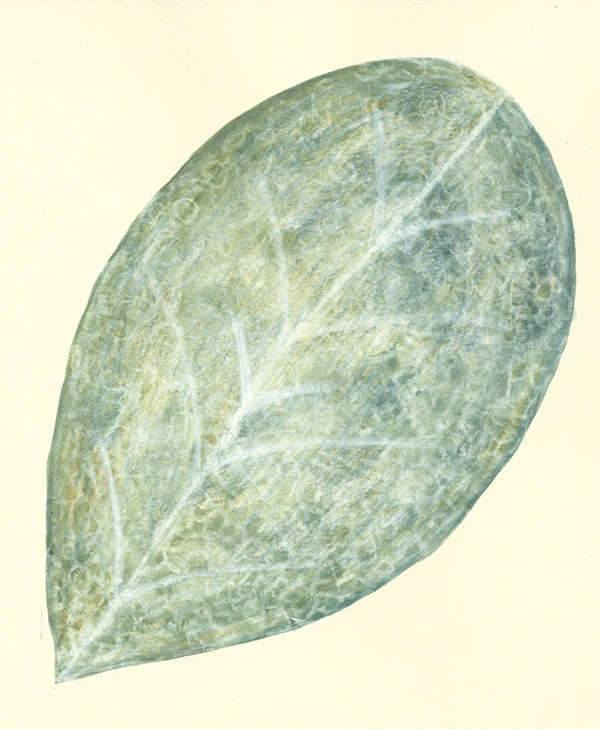 leaf  a day 12th Feb - Judy Oakenfull