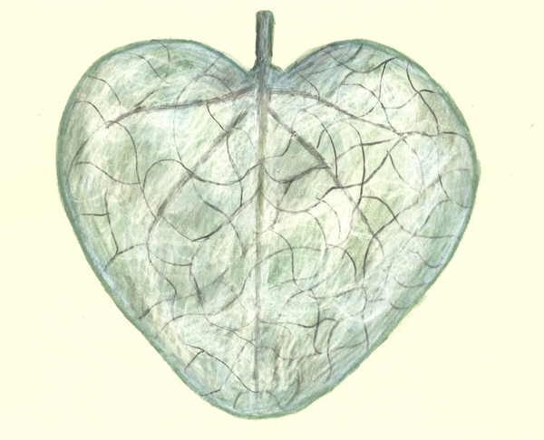 leaf a day 14-2 - Judy Oakenfull