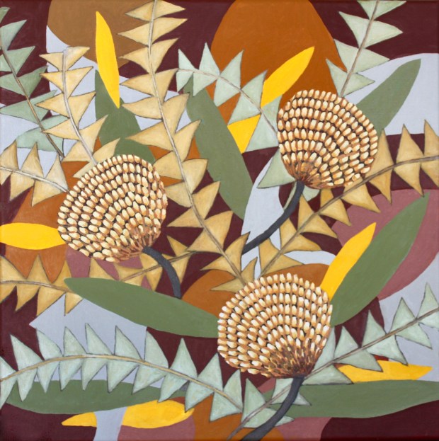 Oil painting banksias botanical