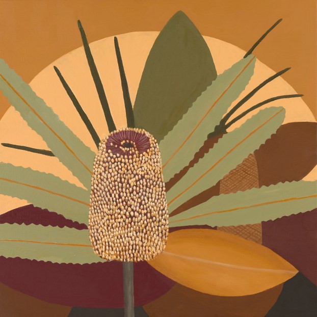 Oakenfull_J_Radiant Banksia_2019_Oil on canvas_40x40x3cms