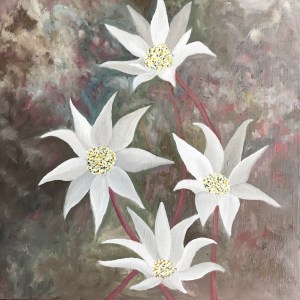 Flannel Flowers