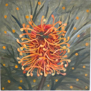 Fun Grevillea