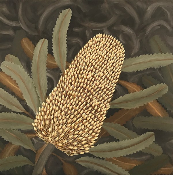 Oakenfull, Judy_Brunswick Banksia_2019_Oil on canvas_40 x 40 cms
