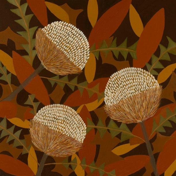 Oakenfull_J_Three-Banksias_Oil-on-canvas_40x40x3cms